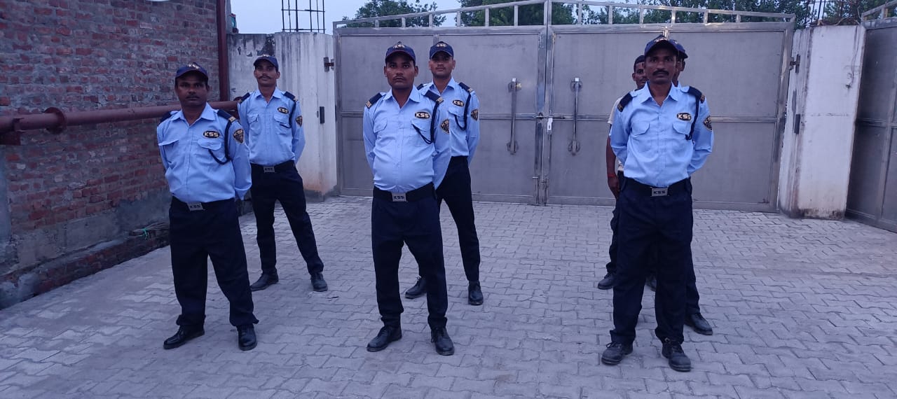 Professional security team